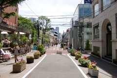 Harajuku-Cat-street-02